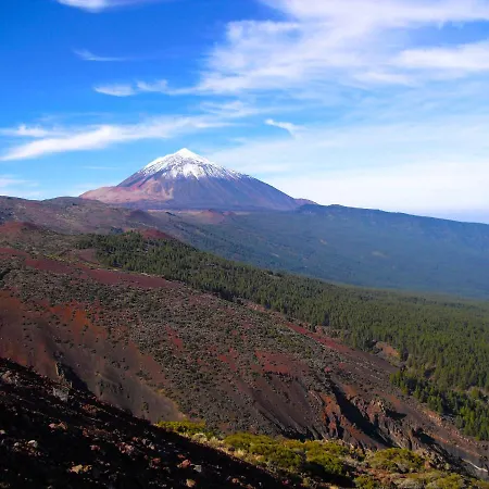 Luis Estudio Adeje Tenerife Sur By Hrtenerife Net * 아데제
