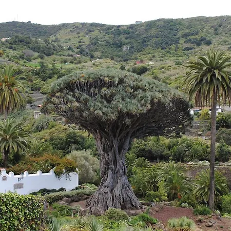 아파트 Luis Estudio Adeje Tenerife Sur By Hrtenerife Net